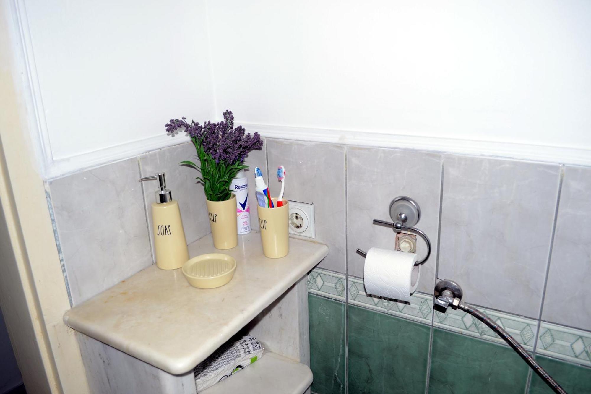 Vesna Apartment *